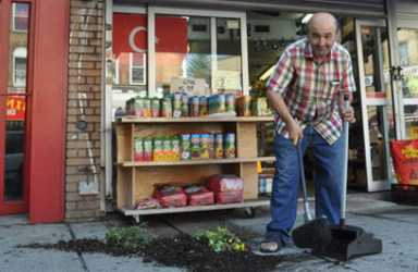 Gone to pot! Planter vandalism sign of Fifth Ave.’s decline, biz owners say