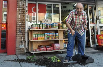 Gone to pot! Planter vandalism sign of Fifth Ave.’s decline, biz owners say