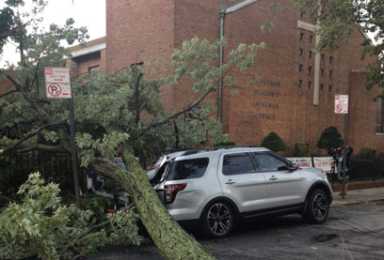 Tree falls on car parked illegally in front of church