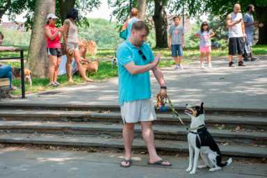 Howl’s Head Bark! Dog show packs Ridge park