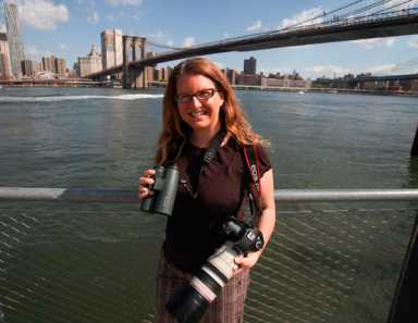 Read all about it!: The best Brooklyn Book Festival events
