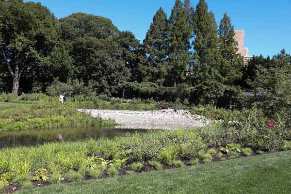 Making the moist of it! Botanic Garden opens wetlands