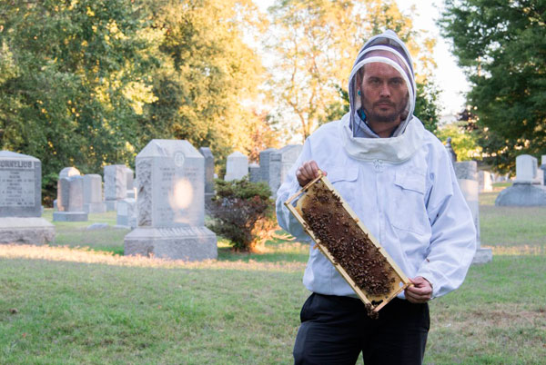 Bee-lieve it! Green-Wood Cemetery making its own honey