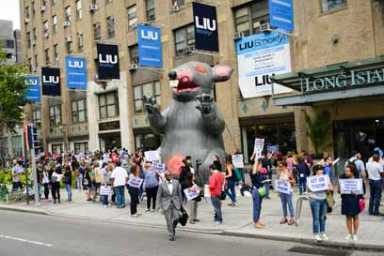 Rats! LIU locks out Brooklyn professors after refusing to pay same wages as Long Island
