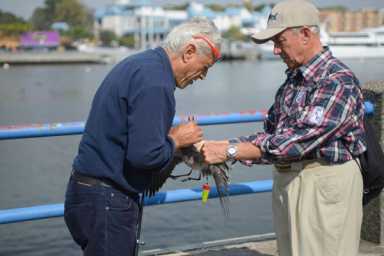 Reporter’s notebook: ‘I watched a fisherman land, release a seagull’