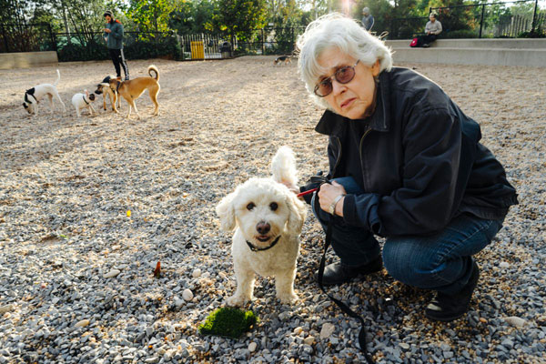 Grassy goal: Locals demand Bridge Park replace dog run’s stony surface with turf