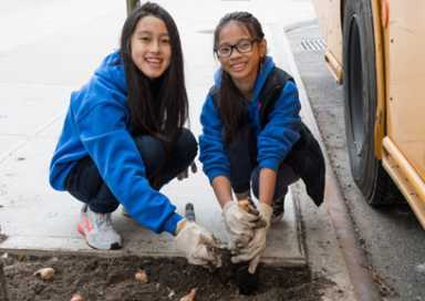 Flower of youth! Kids plant daffodils on Mermaid Avenue