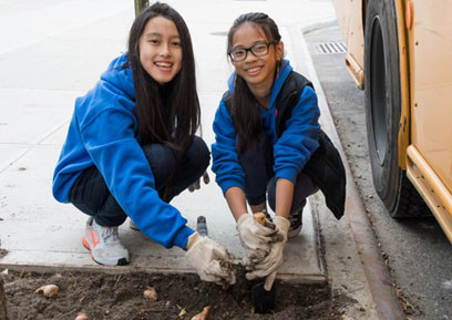 Flower of youth! Kids plant daffodils on Mermaid Avenue