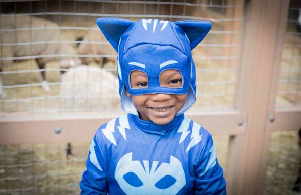 Are your afraid of the Park? Prospect offers thrills and chills for trick or treaters