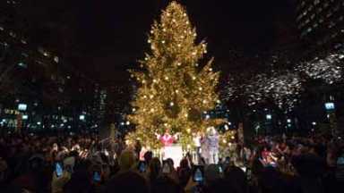 Sleigh-ing the crowd: Reindeers fly into MetroTech for tree-lighting