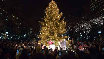 Sleigh-ing the crowd: Reindeers fly into MetroTech for tree-lighting
