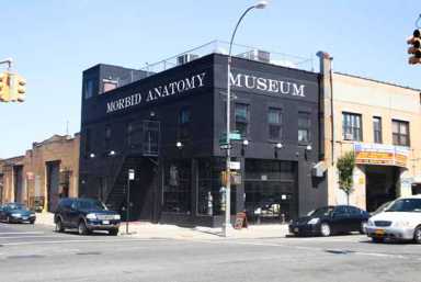 RIP: Gowanus’s beloved Morbid Anatomy Museum abruptly closes