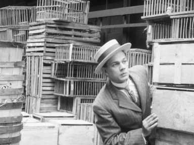 Lost and sound: Guitarist creates soundtrack for forgotten Orson Welles film