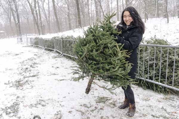 Here they are — your 2017 Mulchfest photos!