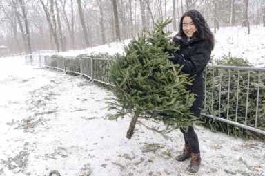 Here they are — your 2017 Mulchfest photos!