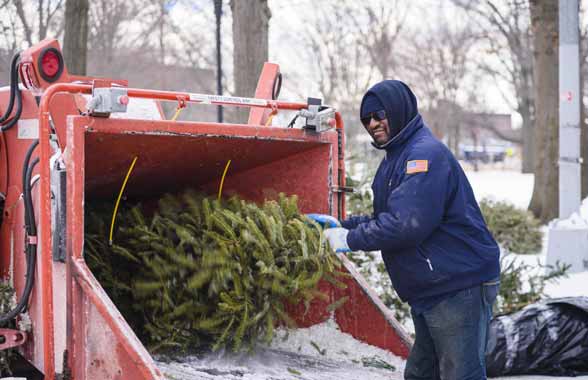 Here they are — your 2017 Mulchfest photos!