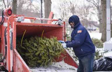 Here they are — your 2017 Mulchfest photos!