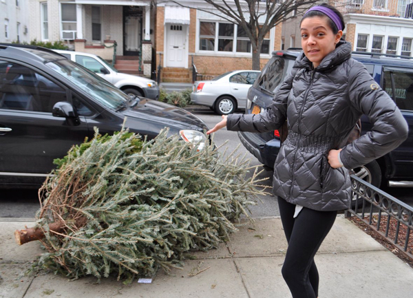 Oy Tannenbaum! City still hasn’t picked up curbside Christmas trees