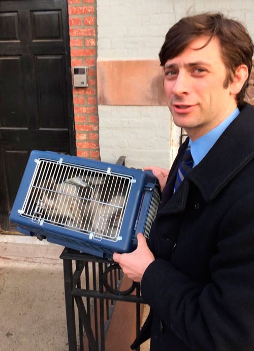Kitty pity! Councilman rescues shot, pregnant cat from BQE