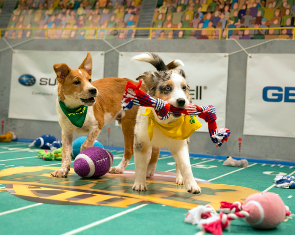 Your guide to Brooklyn’s best Super Bowl-adjacent activities
