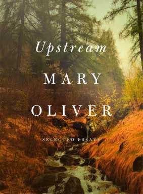 What to read this week