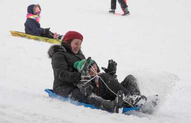 Soft news! How Brooklyn spent its snow day