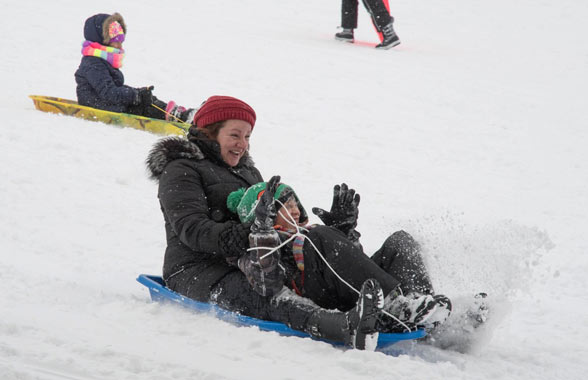 Soft news! How Brooklyn spent its snow day