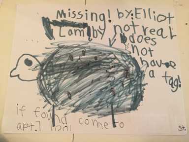 Ewe’ve got mail: Kindhearted Cobble Hillian anonymously replaces local boy’s missing lamb toy