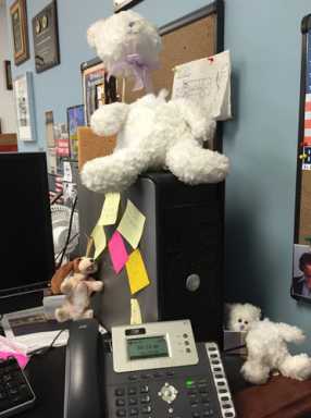 Staffer claims Gentile made fun of his Asperger’s syndrome