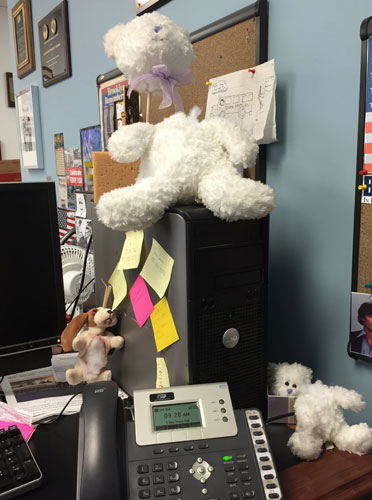 Staffer claims Gentile made fun of his Asperger’s syndrome