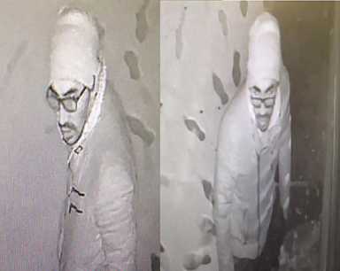 Serial cellphone swiper sought