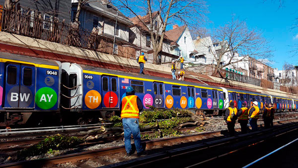 Winds knock over tree onto tracks, stopping service