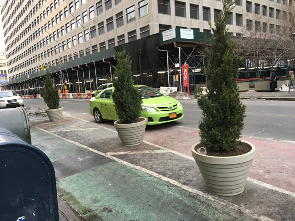 Tree-son! New Jay St. planters moved to bus lane, illegal parking resumes
