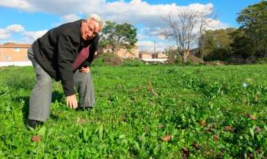 Planting ideas of healthy eating in Bergen Beach