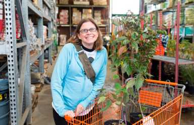 The giving trees: Green group hands out free saplings