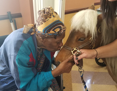 Pony up! Shetlands brighten day of seniors, handicapped