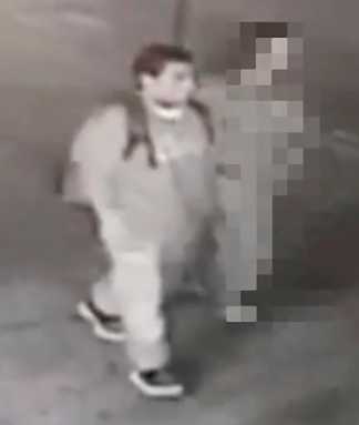 Slimeball tries to rape Bensonhurst woman