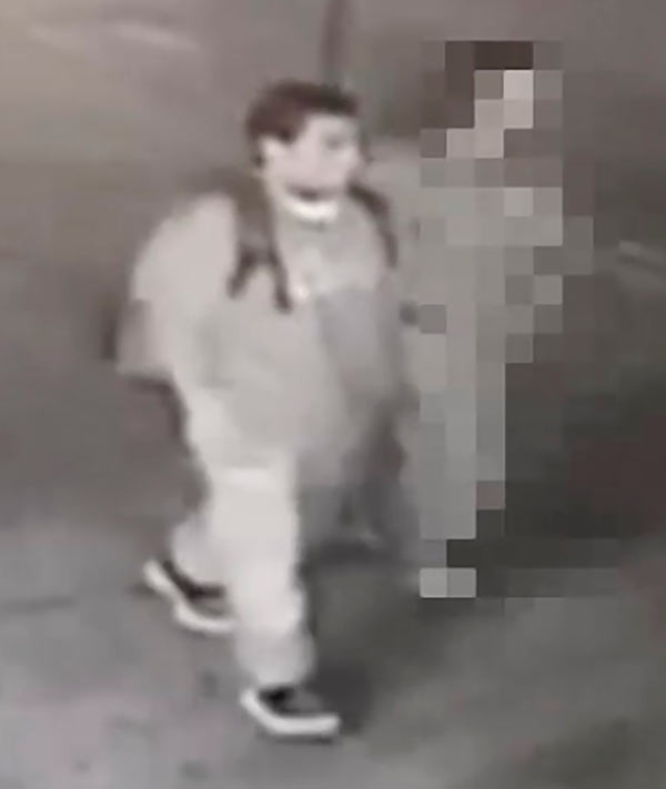 Slimeball tries to rape Bensonhurst woman