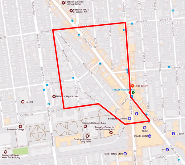 Flatbush Junction BID awarded funds for new street artwork