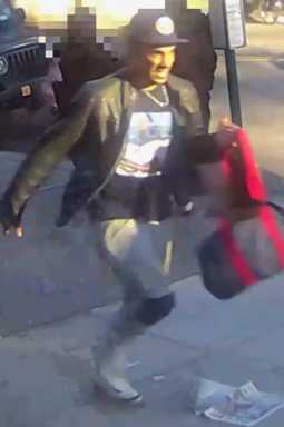 Serial groper loose in Sheepshead Bay