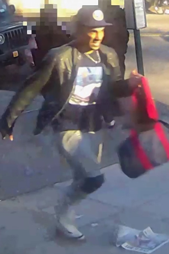 Serial groper loose in Sheepshead Bay