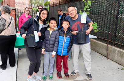 Locals adopt baby trees at Bay Ridge Library