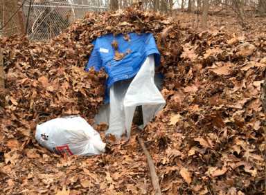 Dead man found in Prospect Park