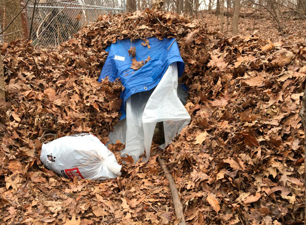 Dead man found in Prospect Park
