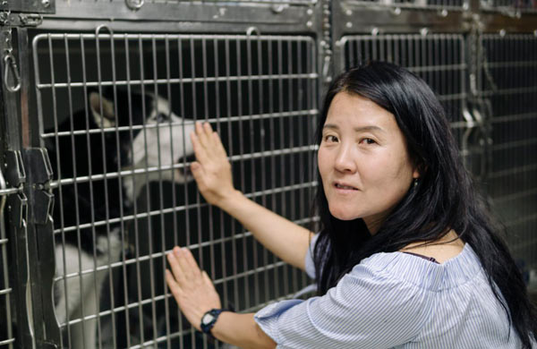 Ay chi-huahua! Volunteer channels healing energy into stressed pups at Kensington shelter