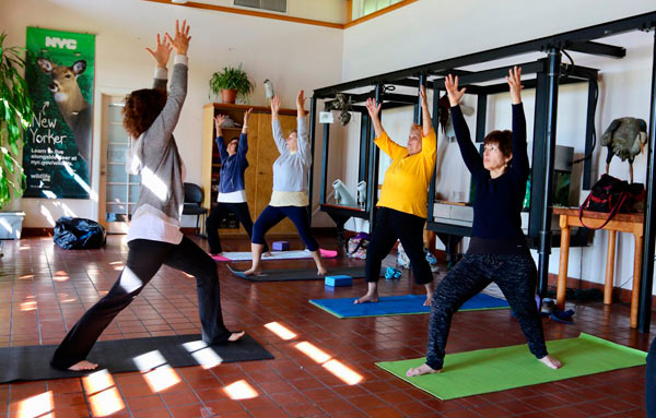 Seniors get flexible with free yoga!