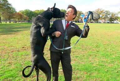 Throw ‘em a bone! Marine Parkers want a dog run in place of former bocce courts