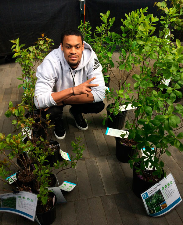 Going green: Nets give back with trees for threes