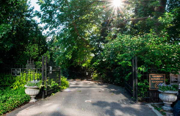 Ferry tale of Bay Ridge: Cruise to a green and pleasant landing