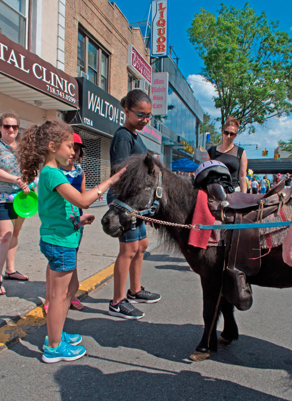 Sheepshead Bay enjoys Summer Stroll